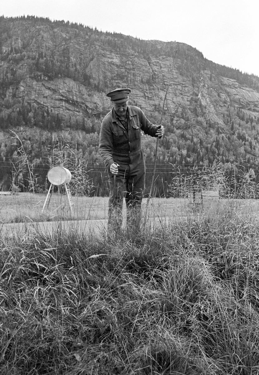 Antakelig veiarbeider Jon Tveit som setter ned brøytepinner for vinteren, Setesdal, Aust-Agder. Fotografert oktober 1966.