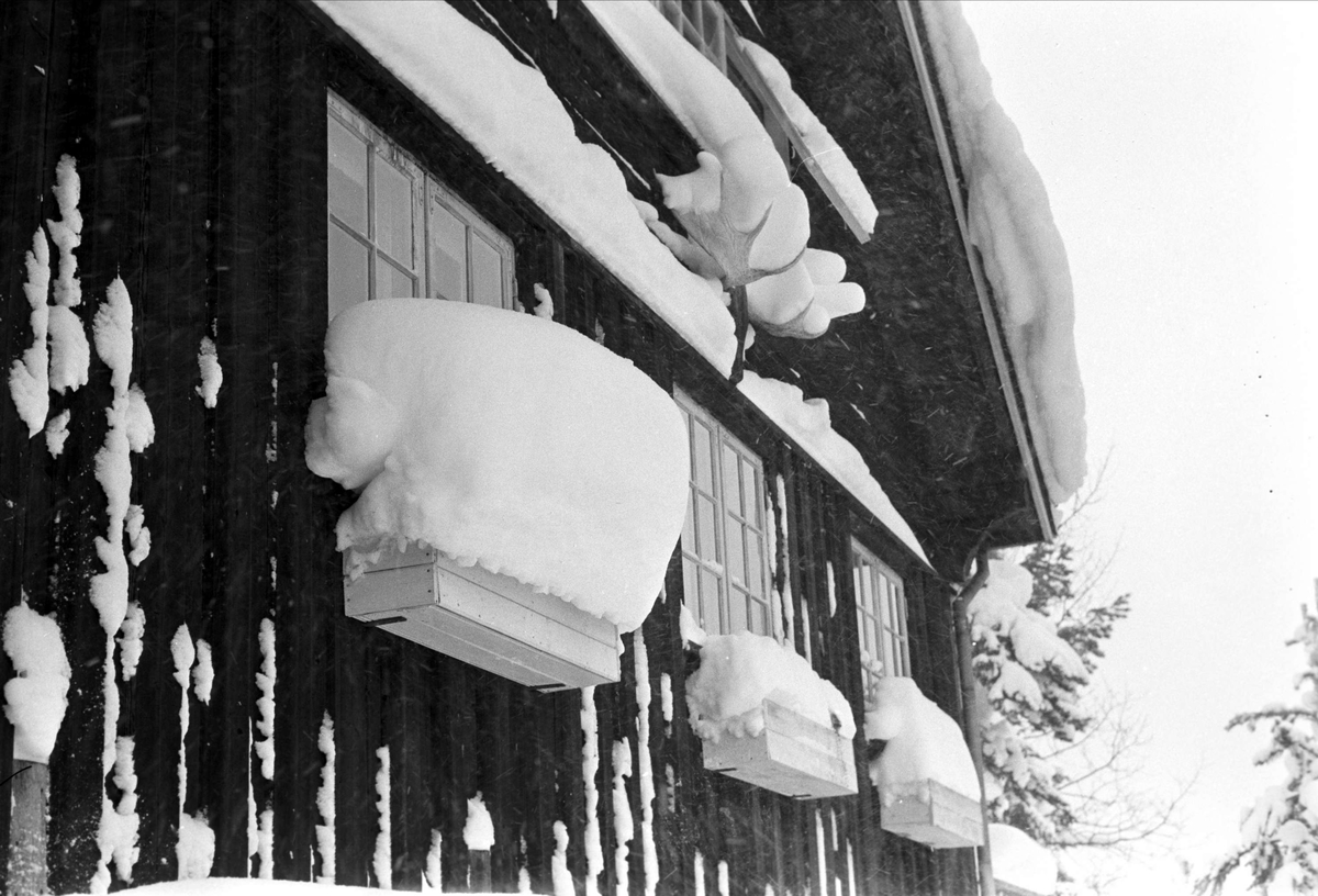 Ringkollen, desember 1959, hjemme hos Trygve Brodahl, vinteraktiviteter.