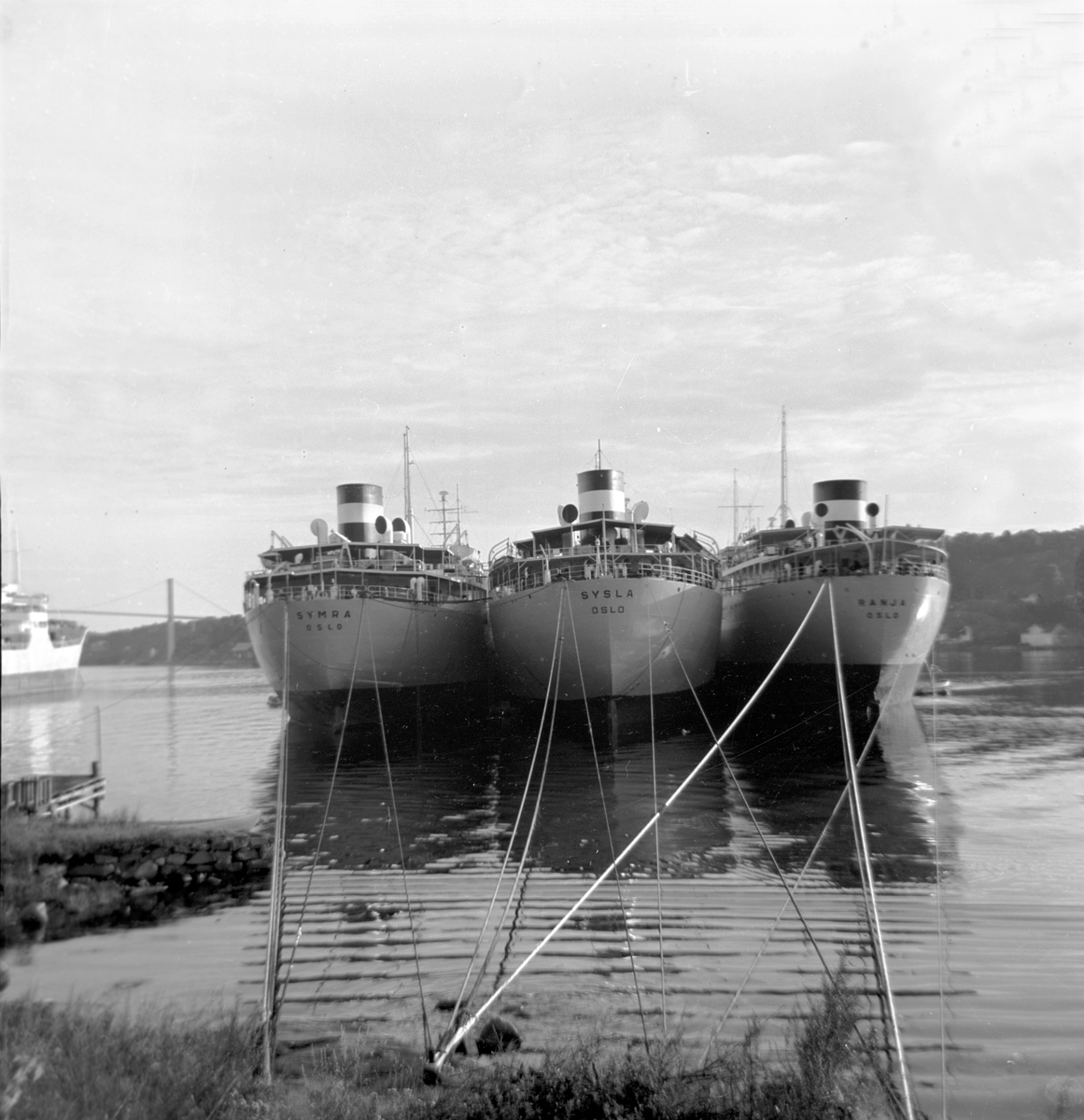 Serie. Div. tankbåter i opplag. Fotografert 14. aug. 1954.