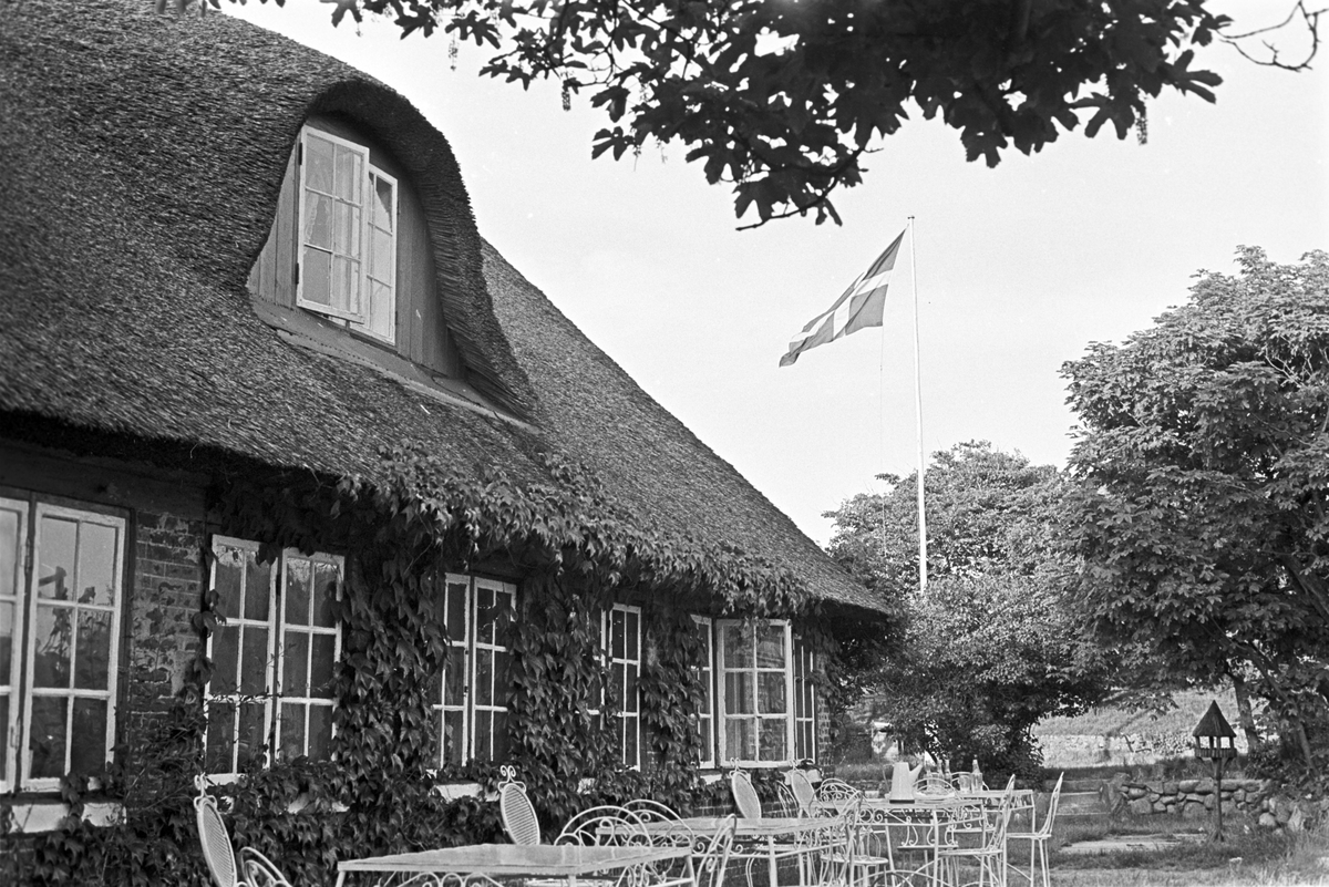 Serie. Fra Fanø, Danmark. Sønderho med stråtekte hus, Vadehavet samt lokal skoleklasse. Fotografert juni 1964.