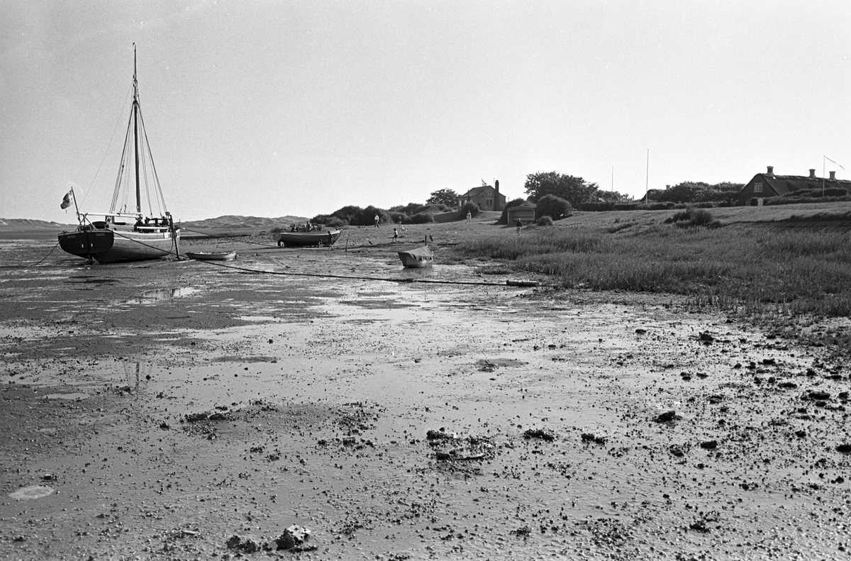 Serie. Fra Fanø, Danmark. Sønderho med stråtekte hus, Vadehavet samt lokal skoleklasse. Fotografert juni 1964.