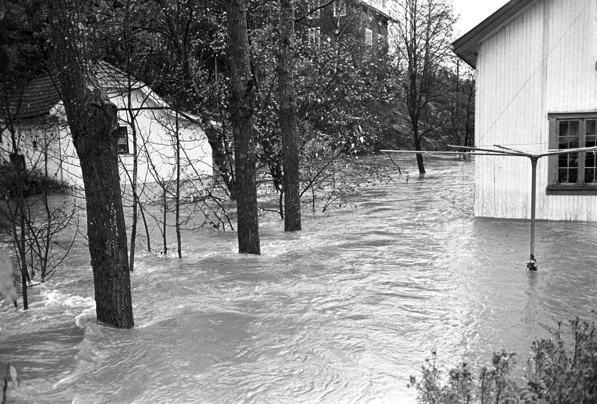 Serie. Stor flom i et boligområde i Røyken. Flere boliger står med vann opp til vinduene. Fotografert oktober 1964.