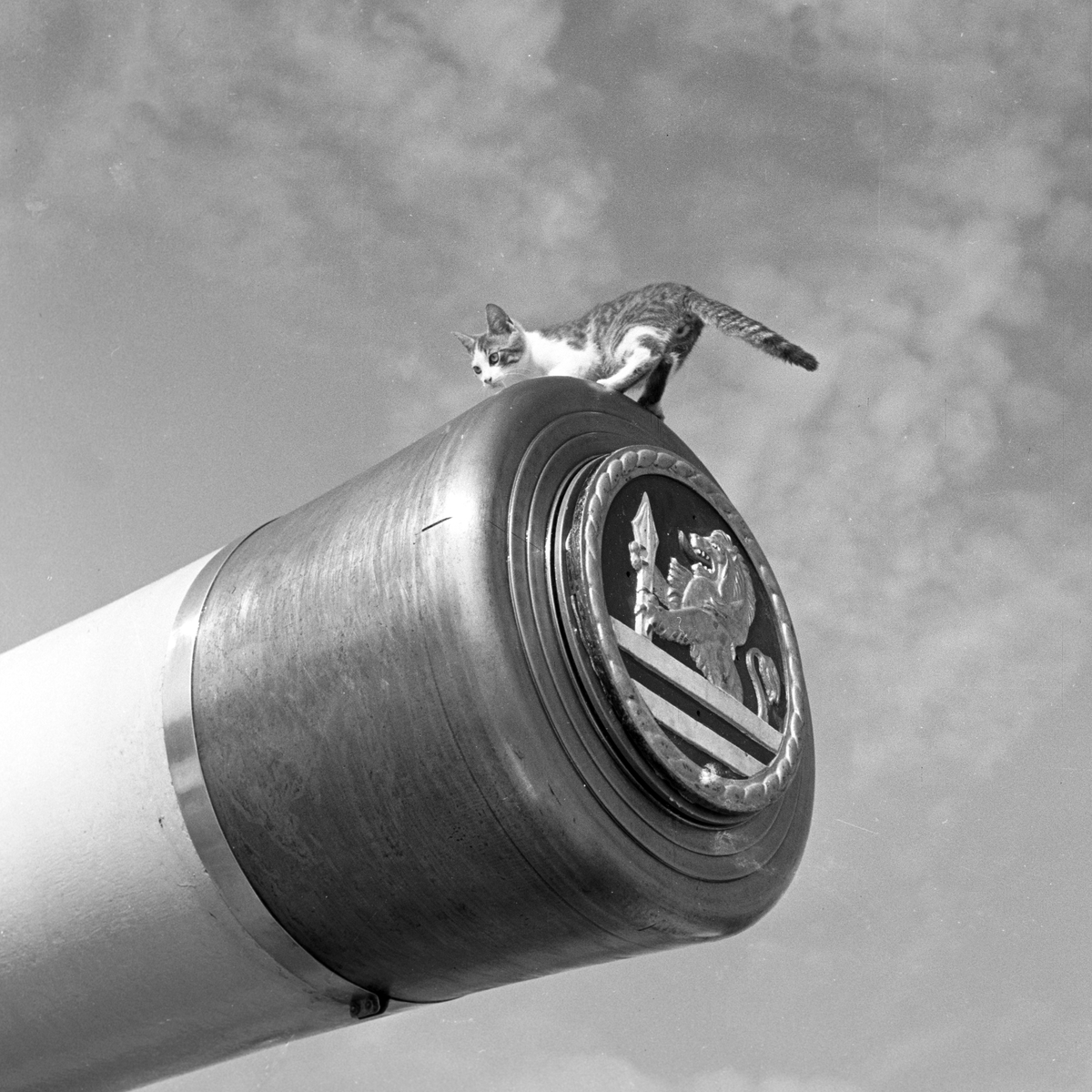Serie. Det engelske slagskipet HMS Vanguard på flåtebesøk i Oslo. Parade med musikkorps ombord. Noen av mannskapet står med kikkerter og en pusser kanoner. Fotografert 21. juni 1954.