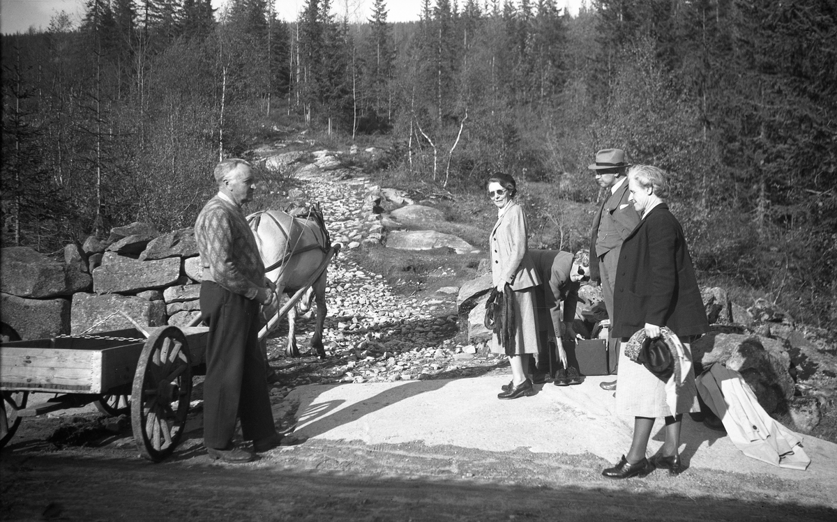 Torgeir Åsland, med hest og kjerre, henter gjester som skal til Arentz-familiens feriested i Eggedal. Fotografert 1949.