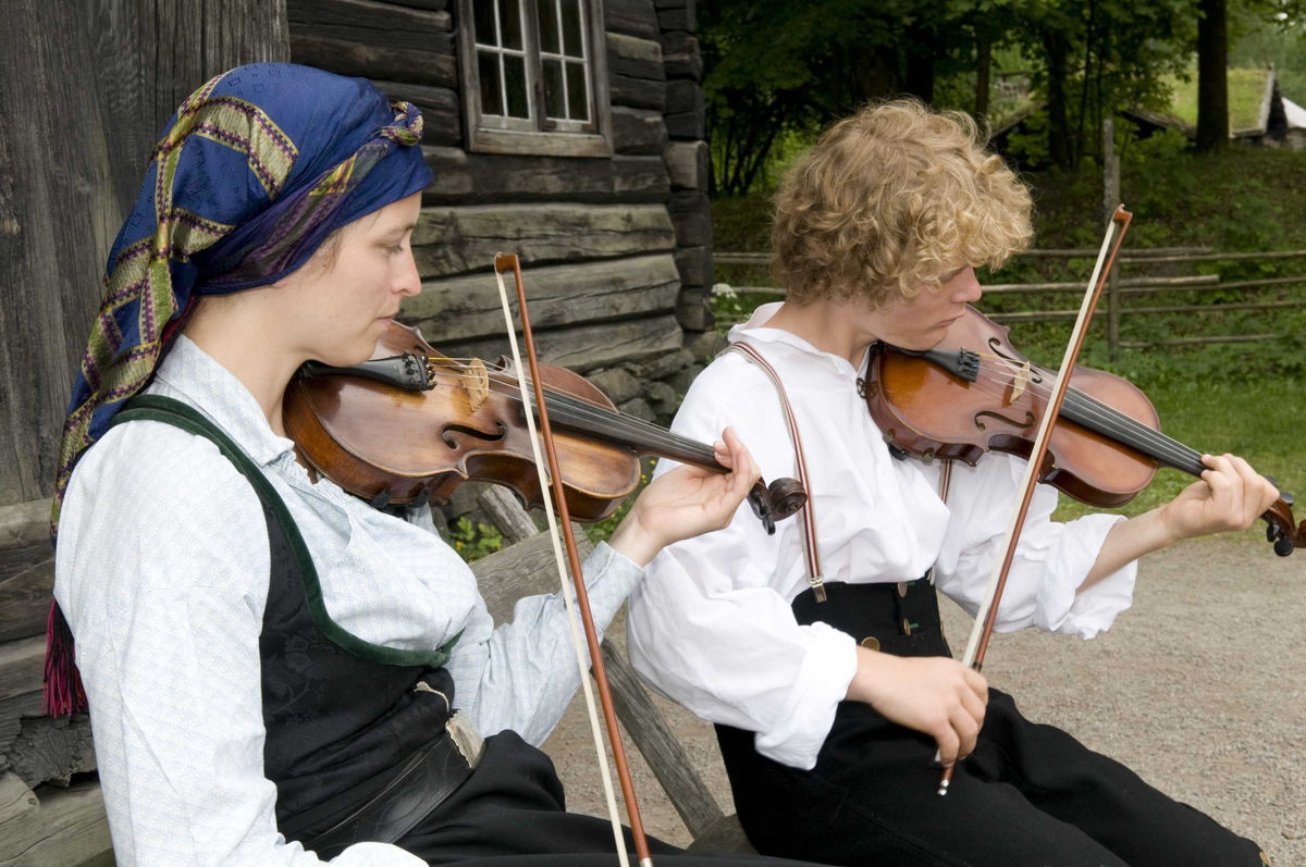 Felespillende tunverter i telemarkstunet.