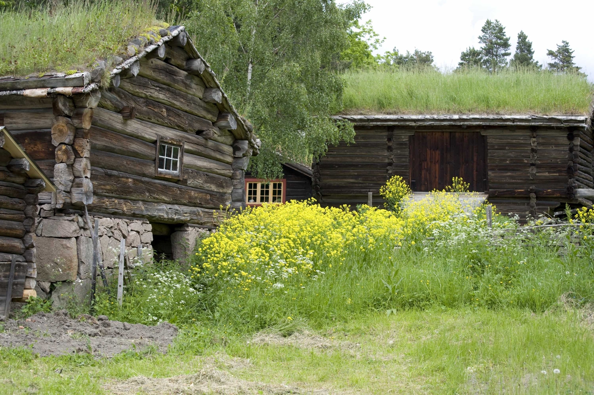 Stall i Østerdal.