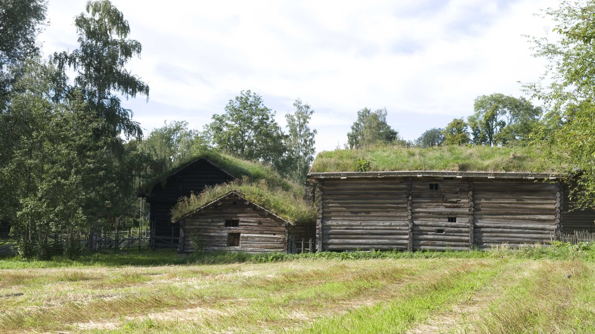 Løe fra Uvdal, NF028, og fjøs fra Ramberg, NF029.