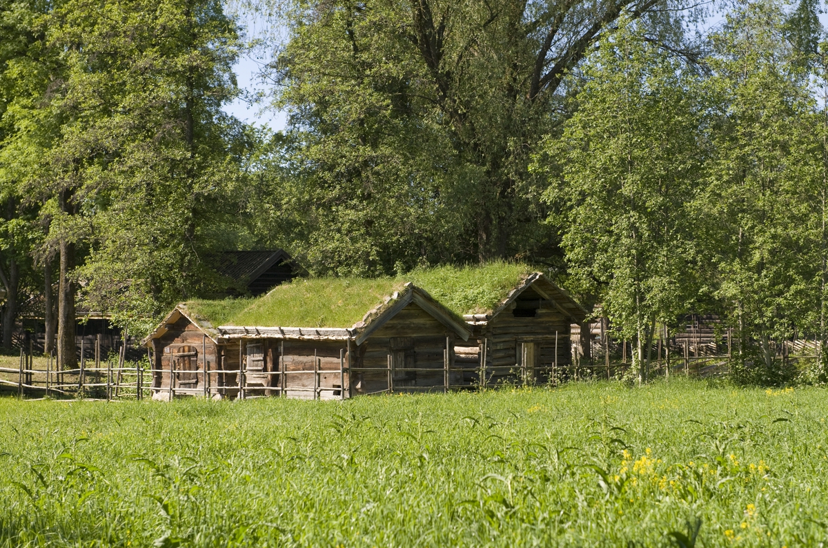 Telemarkstunet på Norsk Folkemuseum, juni 2010. Løe, stall og sauestall fra "Suistog"-Øygarden i Arabygdi i Rauland. 
