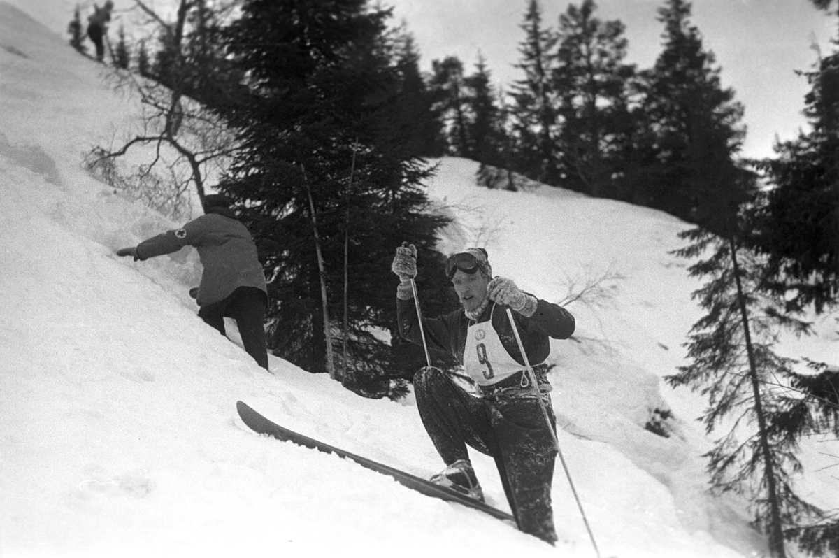 Knall og fall i slalåmløypa. Alpinist med startnummer 9 kommer seg på beina. Holmenkollrennene på Voss 1952. Fotograf Dagbladet