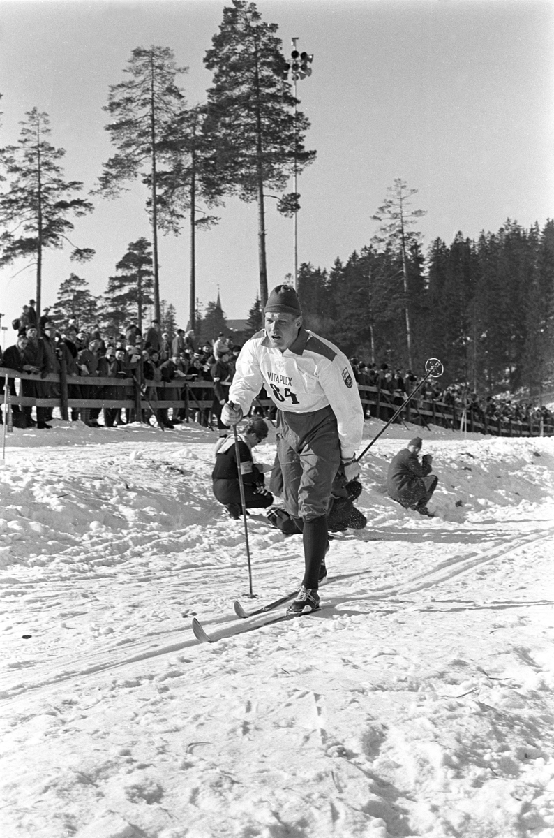 Skiløper med startnummer 84 i Holmenkollen. Publikum langs løypa.  Pressefotografer på sidelinjen. Holmenkollrennene 1963.