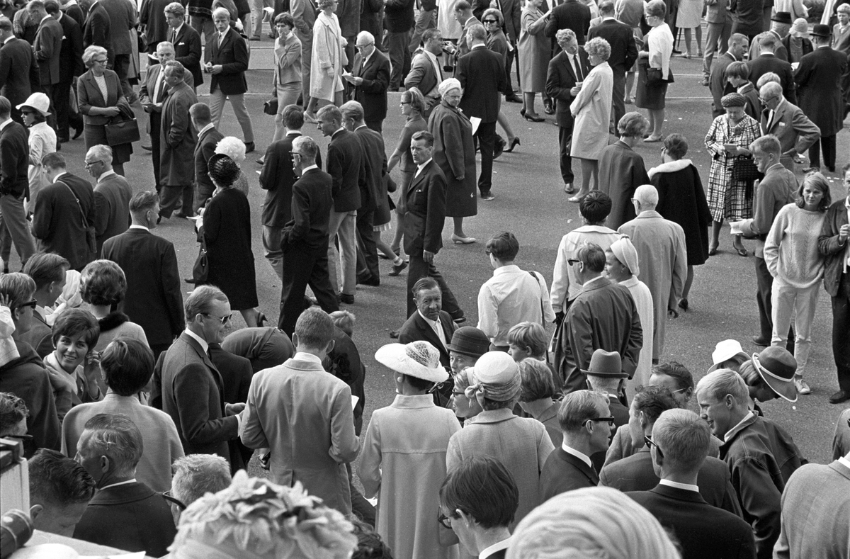 Norsk Derby på Øvrevoll galoppbane i Bærum 20. august 1967.