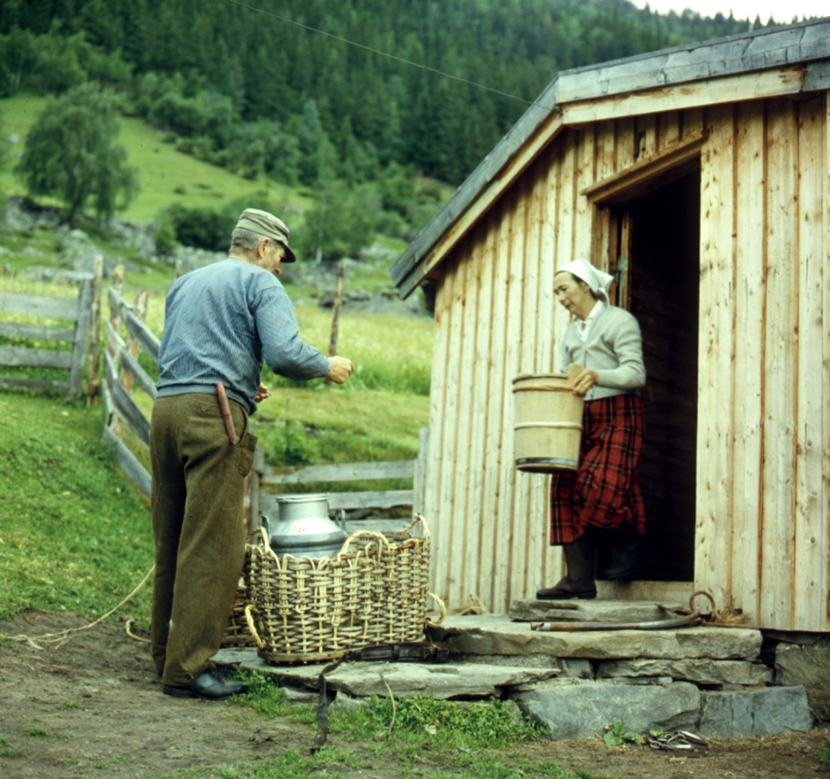 Buføring hos Eilif Hefte i Ål i Hallingdal, 1963.