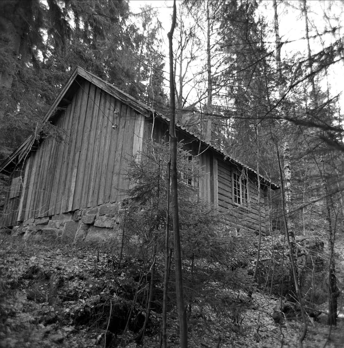 Gammelt hus i skogen. Hurum mars 1963. Henrik Sørensen-museets tomt i Holmsbu. 