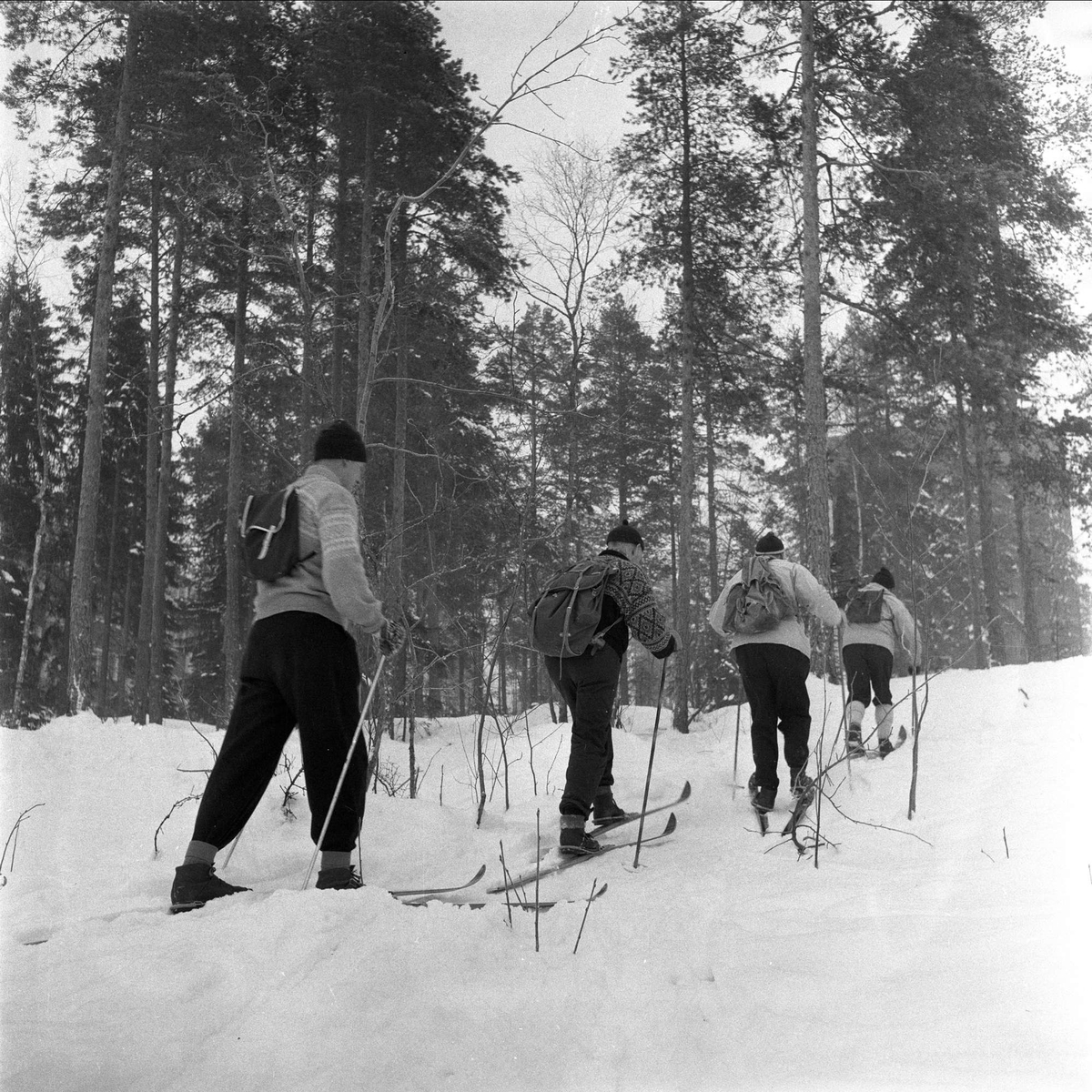 Skiløpere på tur i Østmarka fra Bøler til Ski, Oslo, 17.01.1959.