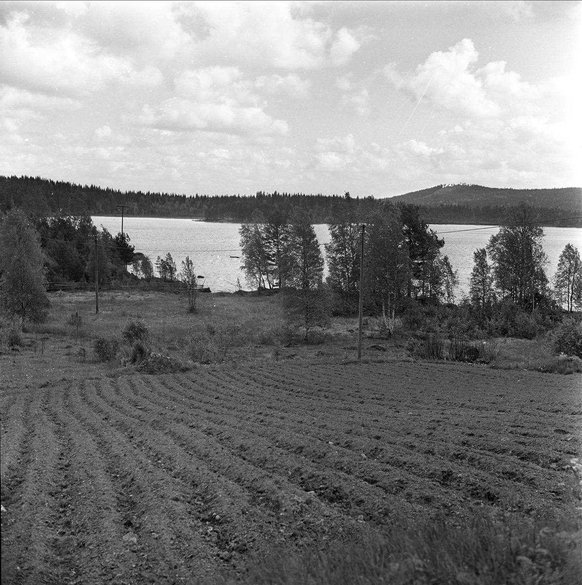 Sammenslåing av Aurskog og nabokommune. Landbruksarealer, Aurskog, januar 1964.