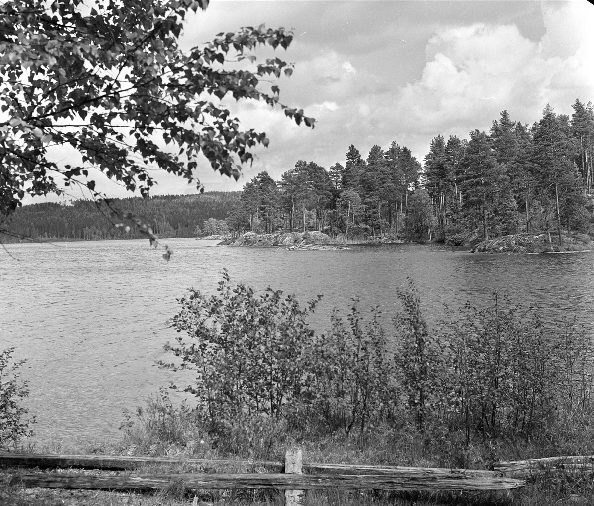 Sammenslåing av Aurskog og nabokommune. Landbruksarealer, Aurskog, januar 1964.