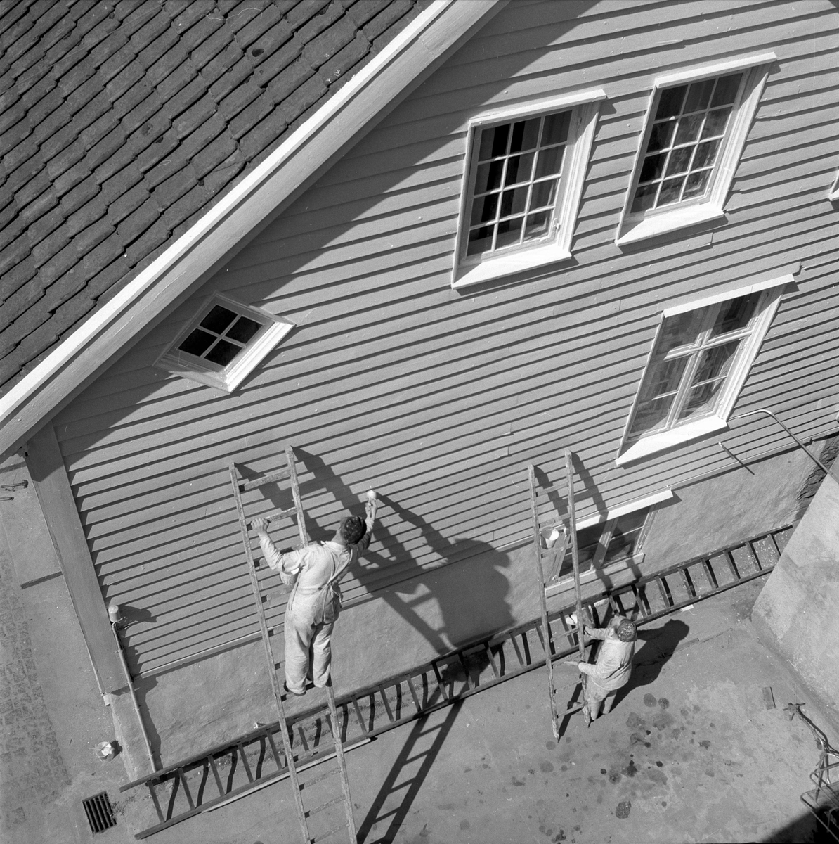 Mandal, juli.1955. Maling av hus, eksteriør, To menn med stiger.