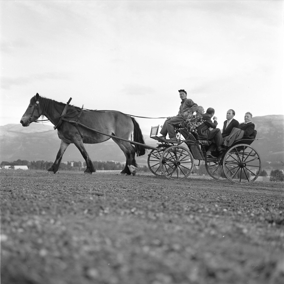 Alvdal, "Freske fraspark", diverse underholdningsbidrag, hest og vogn, folkefest, Alvdal, august 1963