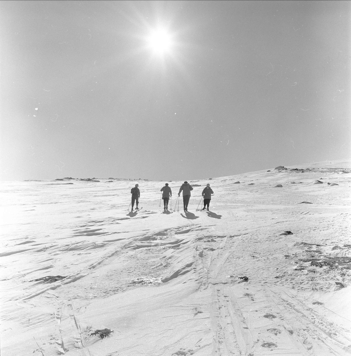 Hummelfjell, Os, Hedmark. Skiløpere.