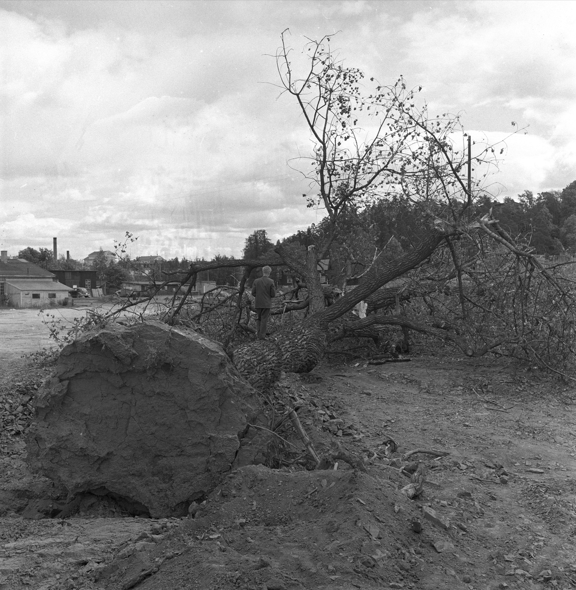 Strandpromenaden, Oslo, juli 1958. Landskap, veibygging.