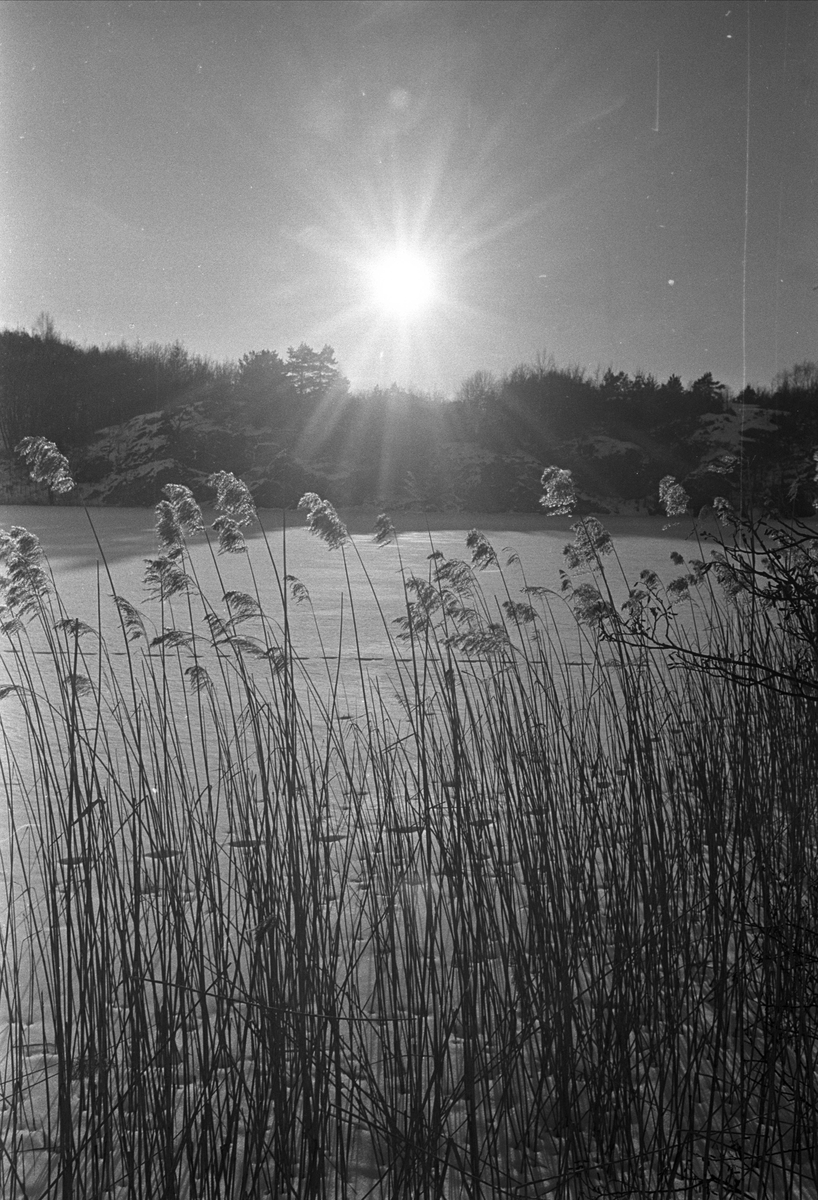 Fra Kragerø februar 1969. Vakkert vinterlandskap ved Kragerø.