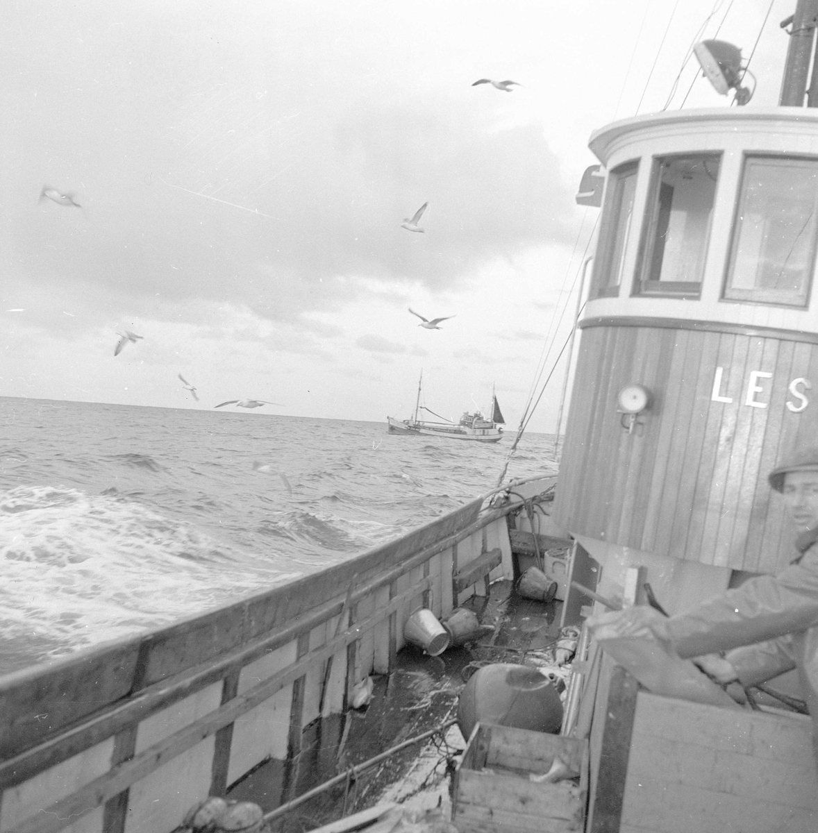 Pigghåfiske på Shetland.
Shetland, 14-22. mai 1958,  fiskeskøyte i åpen sjø, annen båt i horisonten.