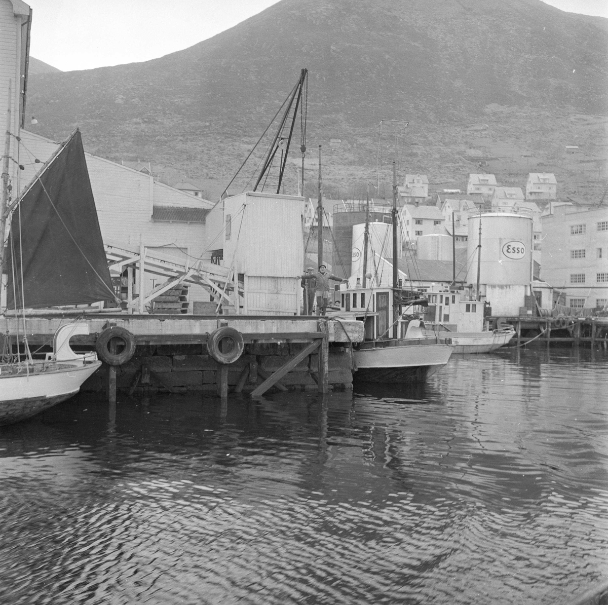 Pigghåfiske på Shetland.
Shetland, 14-22. mai 1958, båter ved kaia.