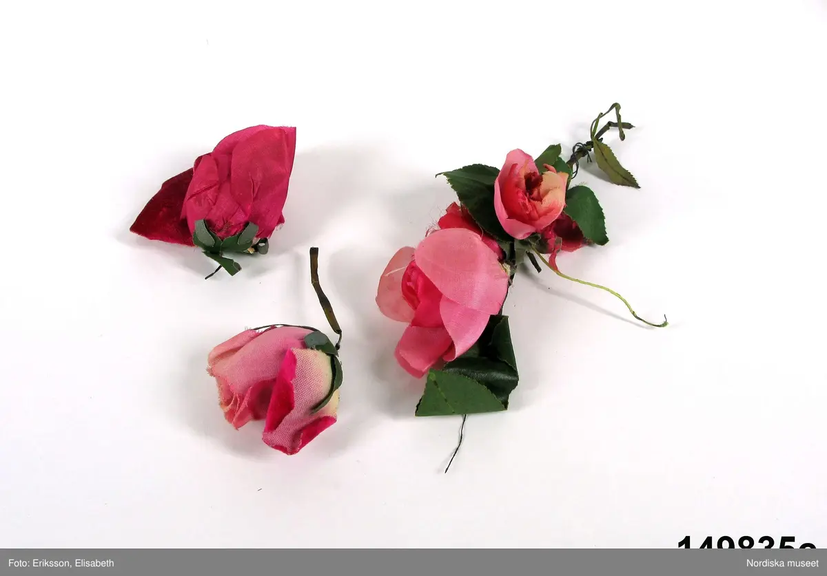 Blomma