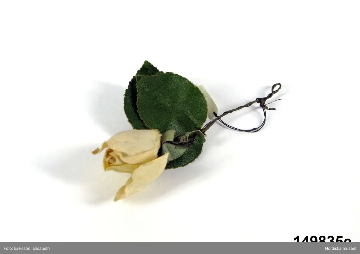 Blomma