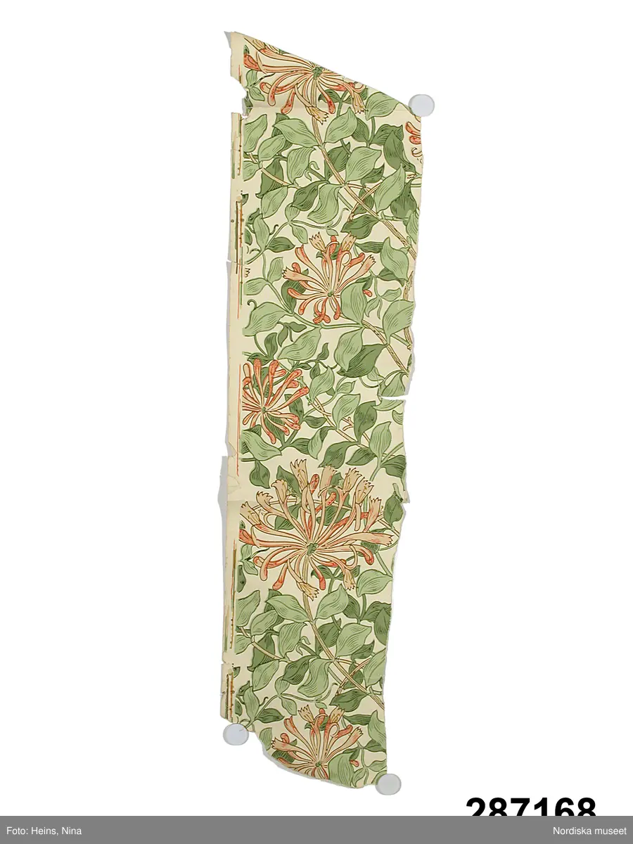 Växt, blomma, blad.