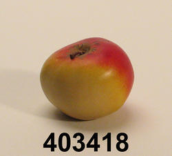 Äpple