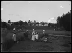 Skördetid vid Pålholen. Fr.v.: Pål-Hilma Larsson (1885-1964), mor Pål-Britta Halvarsson (1842-1932), sonhustrun Gustava Larsson (1887-1974), Lilly Larsson (1909-1946) och hennes mor Pål-Johanna Larsson (1881-1957), David Johansson (1911-) och Lillys bror Gunnar Larsson (1911-1991). Kvinnorna fick själva klara skörden när allt manfolket vistades på annan ort.