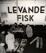 Uppackning av fisk. Nordiska Kompaniet.