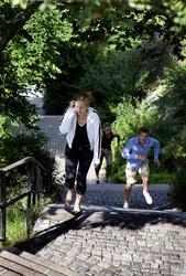 Allsång på Skansen 15 juli 2008. Publik.