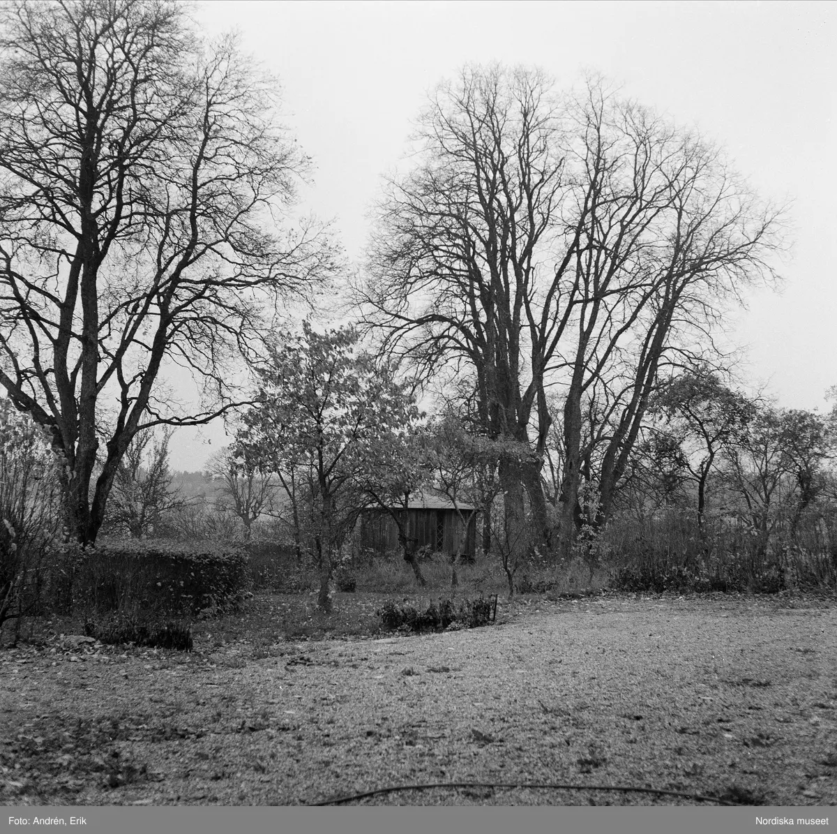 Vängsjöberg i Gottröra socken, Långhundra härad, Uppland. Lusthus i trädgården, 1961.