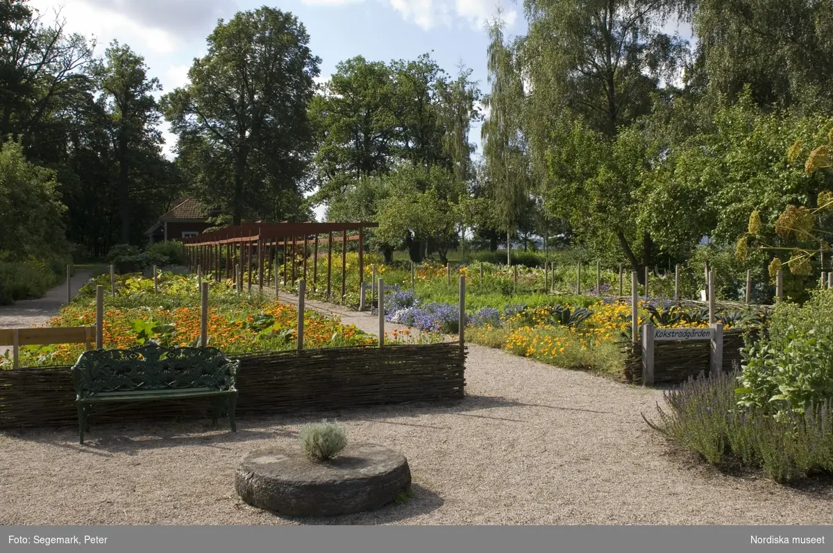 Örtagården och köksträdgården med  köksväxter och örter: Stockrosor, Ringblomma,  kål, röd- och gulbetor mm, Julita gård, sommarsäsongen 2009. 