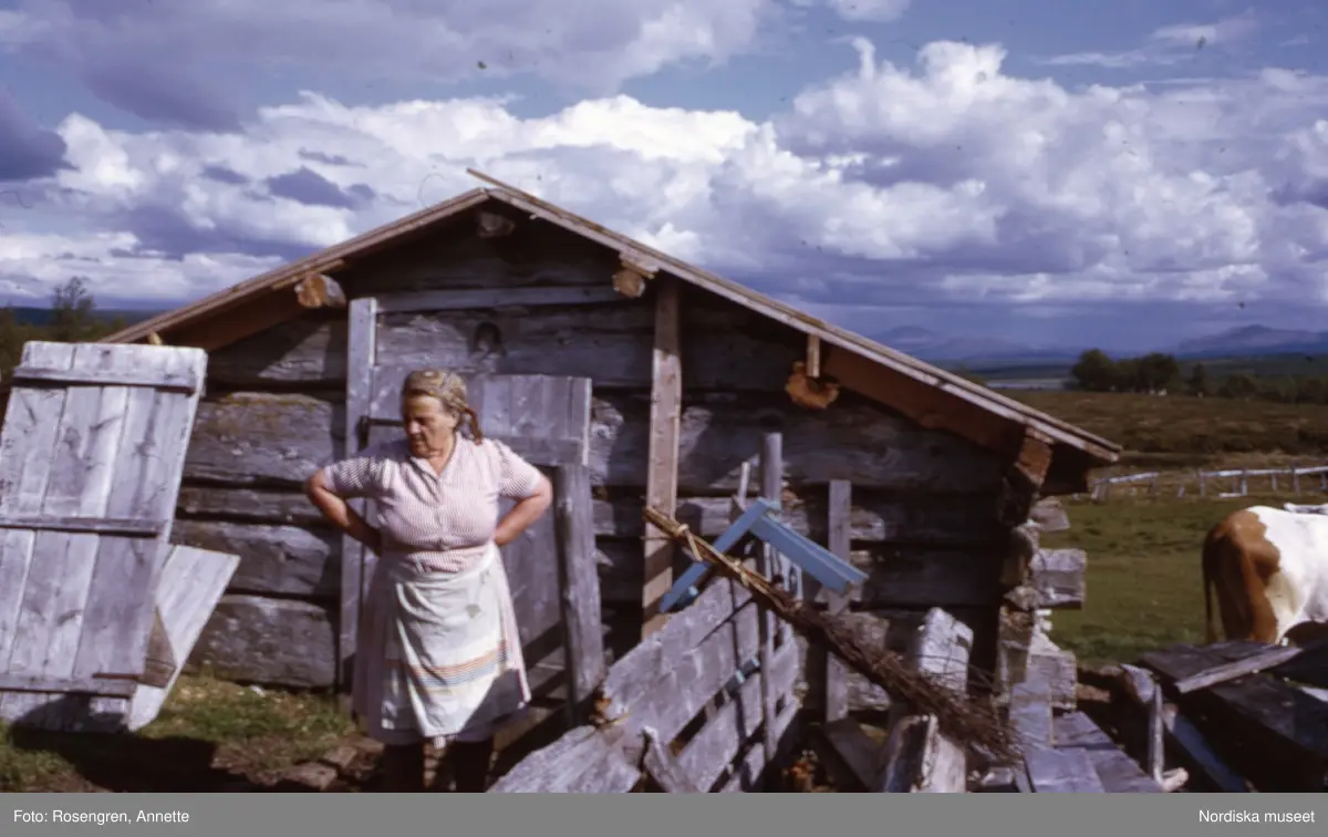 Bruksvallarna, fäbod, 1974. Byggnader, djur, människor och natur.