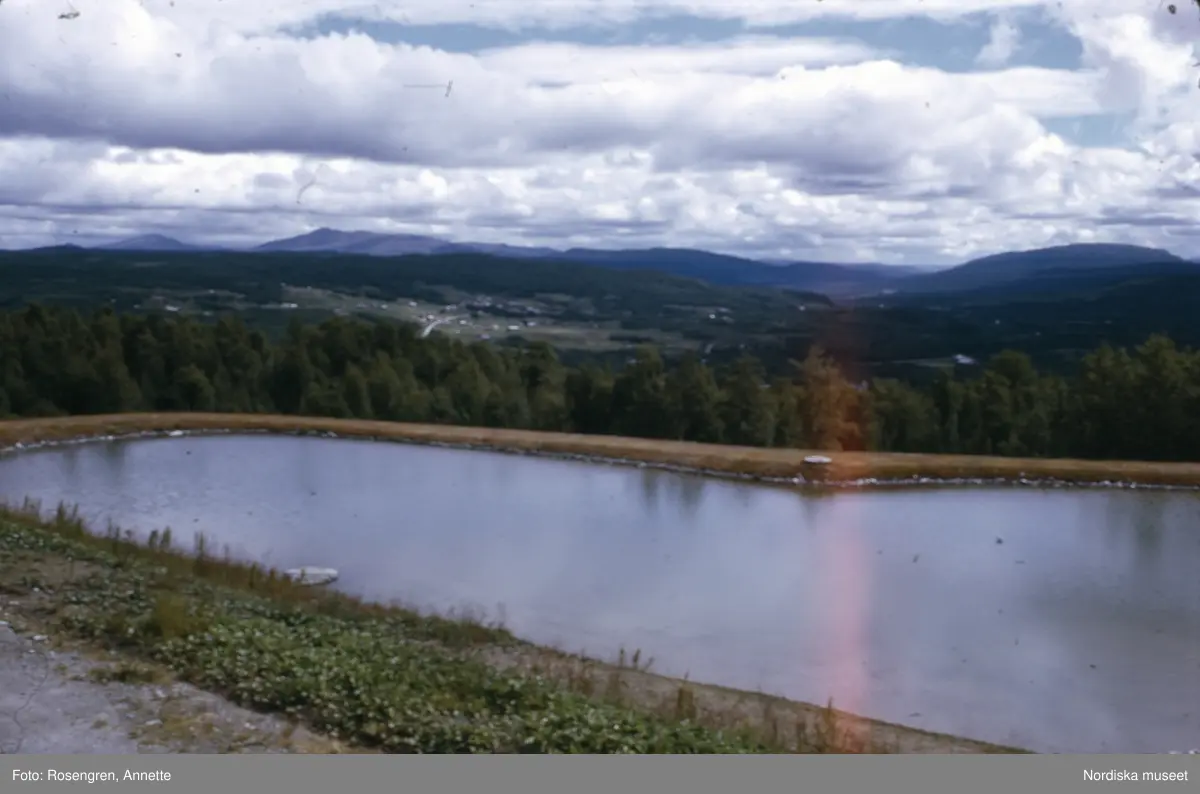 Bruksvallarna, fäbod, 1974. Byggnader, djur, människor och natur.