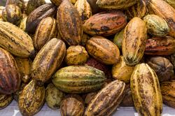 Dokumentation av Chokladfestivalen 15-17 oktober i Nordiska 