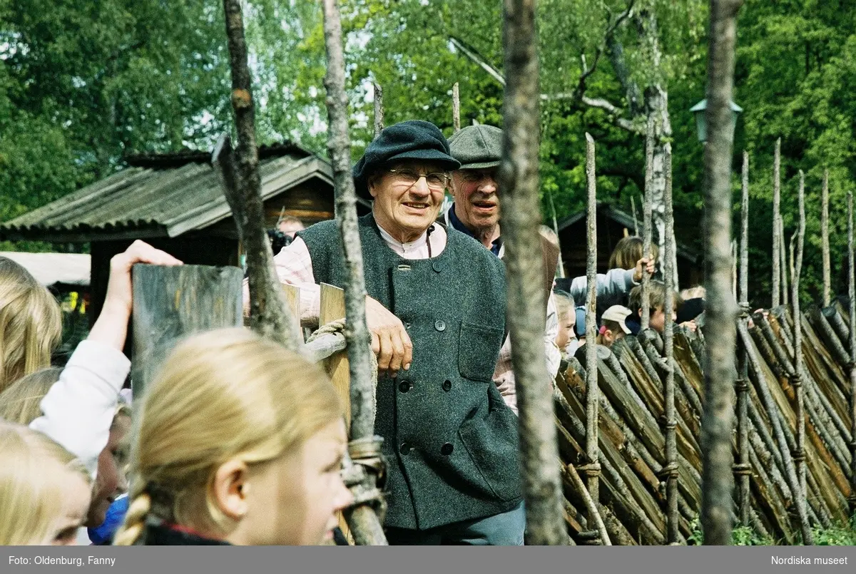 Dragoxarna Lasse och Bosse från Frödinge hembygdsförening visas upp på Skansen.