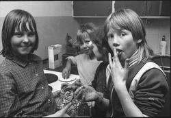 Storuman 1982. Ungdomsgård.