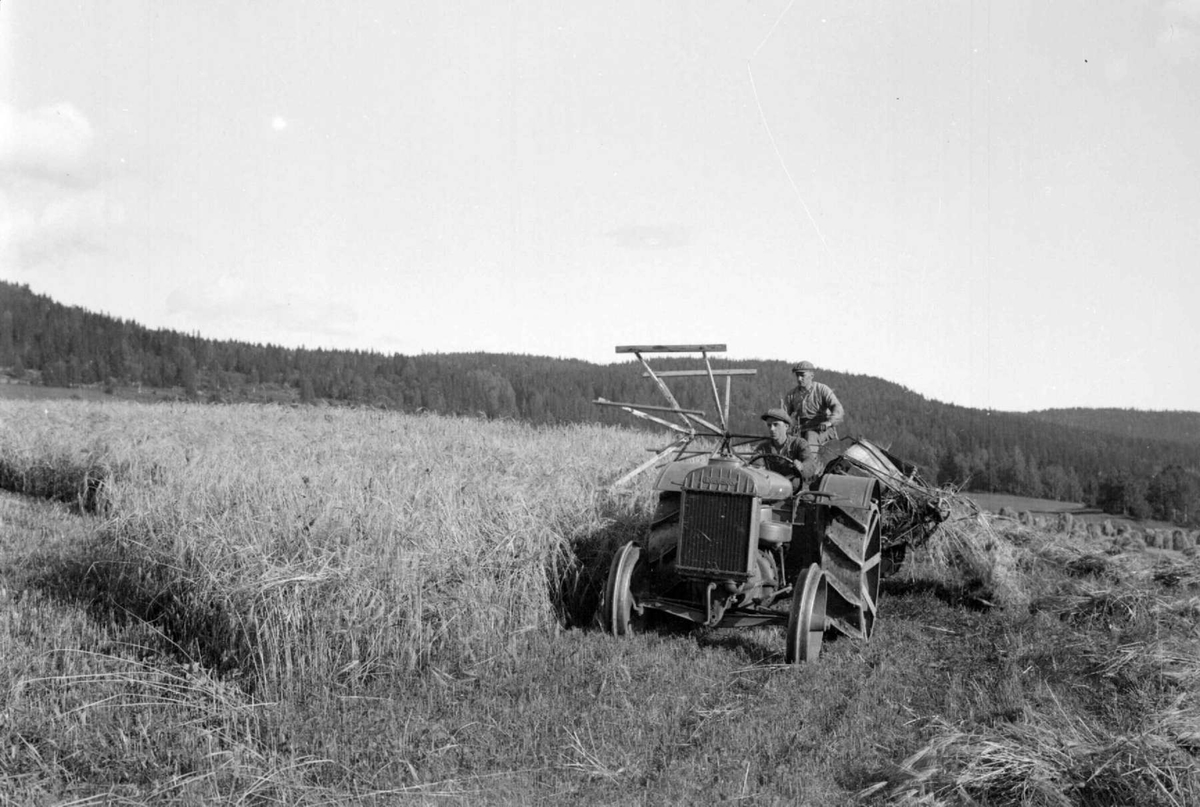 Skuronn på Lysgård. Traktor med selvbinder. Menn.