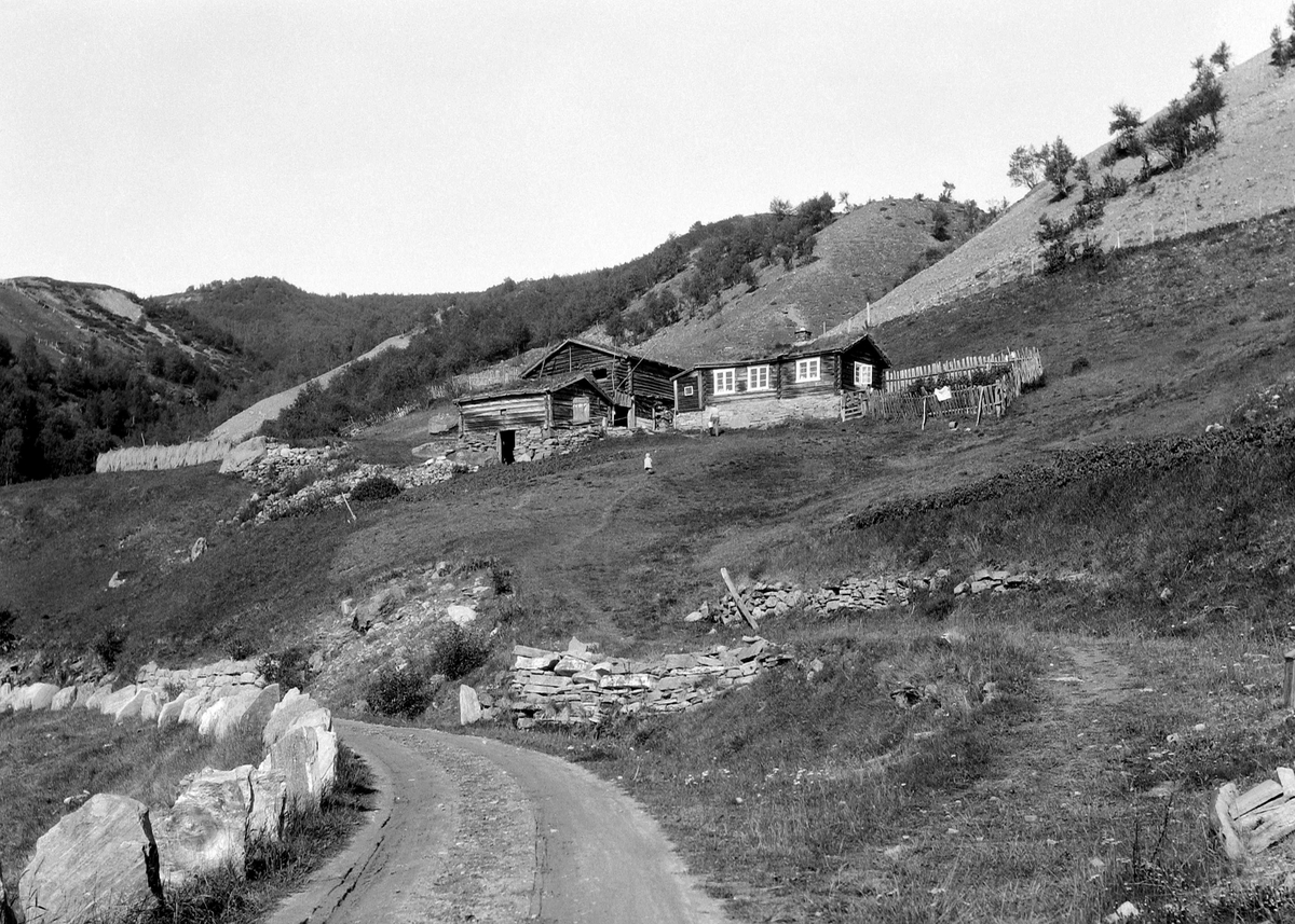 Vågå, Skogbygdi, plassen Skulemesterstugu