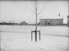 Hamnesplanaden - Dragarbrunnsgatan, Kungsängen, Uppsala 1901 - 1902