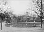 Flustret och Svandammen från norr, Fjärdingen, Uppsala 1901 - 1902