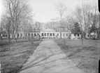 Orangeriet i Linnéträdgården, kvarteret Örtedalen, Uppsala 1901 - 1902