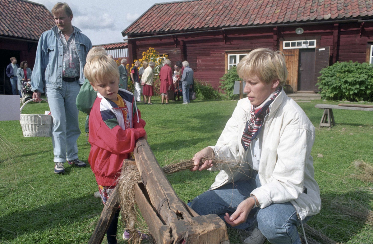 Pojke bråkar lin på friluftsmuseet Disagården, Gamla Uppsala 1994