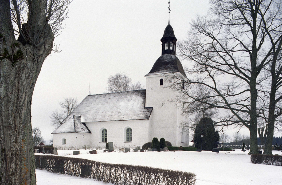 Kyrka, Plantyp-Enskeppig, Salkyrka