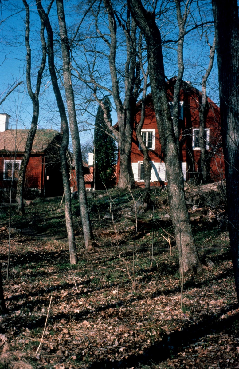 Linnés Hammarby, Danmarks socken, Uppland 1981