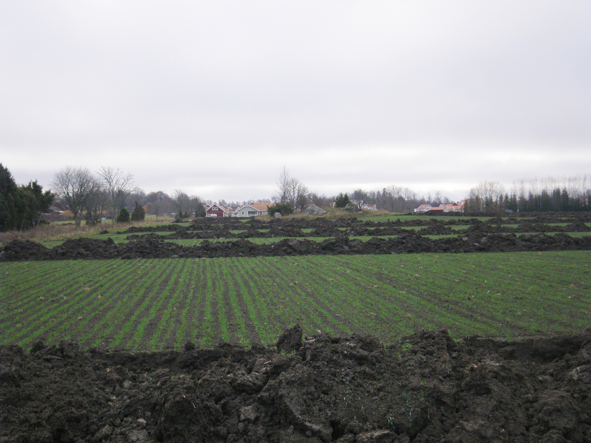 Arkeologisk utredning, Bälinge Ekeby, Bälinge socken, Uppland 2011